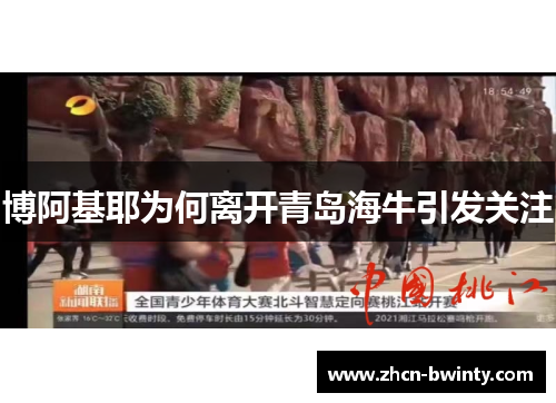 博阿基耶为何离开青岛海牛引发关注