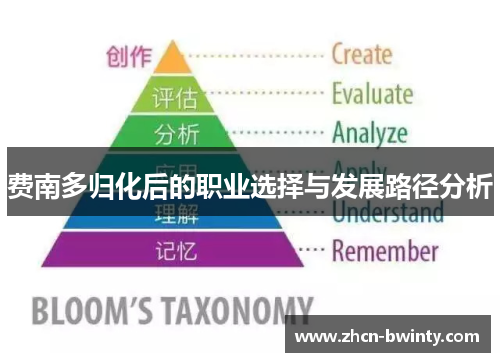 费南多归化后的职业选择与发展路径分析