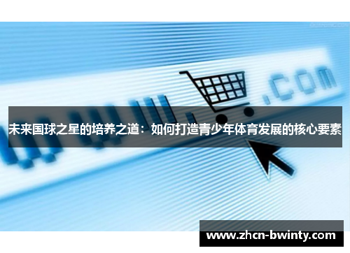 未来国球之星的培养之道：如何打造青少年体育发展的核心要素