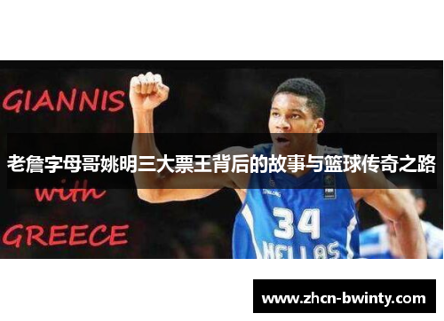 老詹字母哥姚明三大票王背后的故事与篮球传奇之路