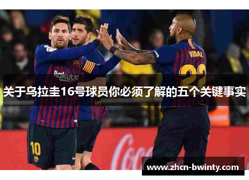 关于乌拉圭16号球员你必须了解的五个关键事实